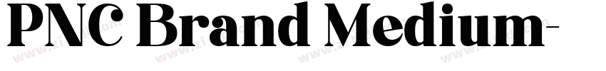 PNC Brand Medium字体转换